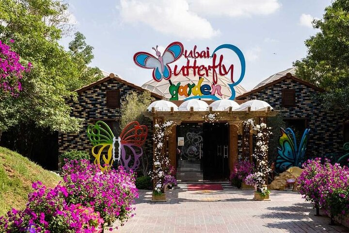 Step into a world of color and beauty at Dubai Butterfly Garden where thousands of butterflies await showcasing their stunning designs amidst lush greenery and vibrant flowers.